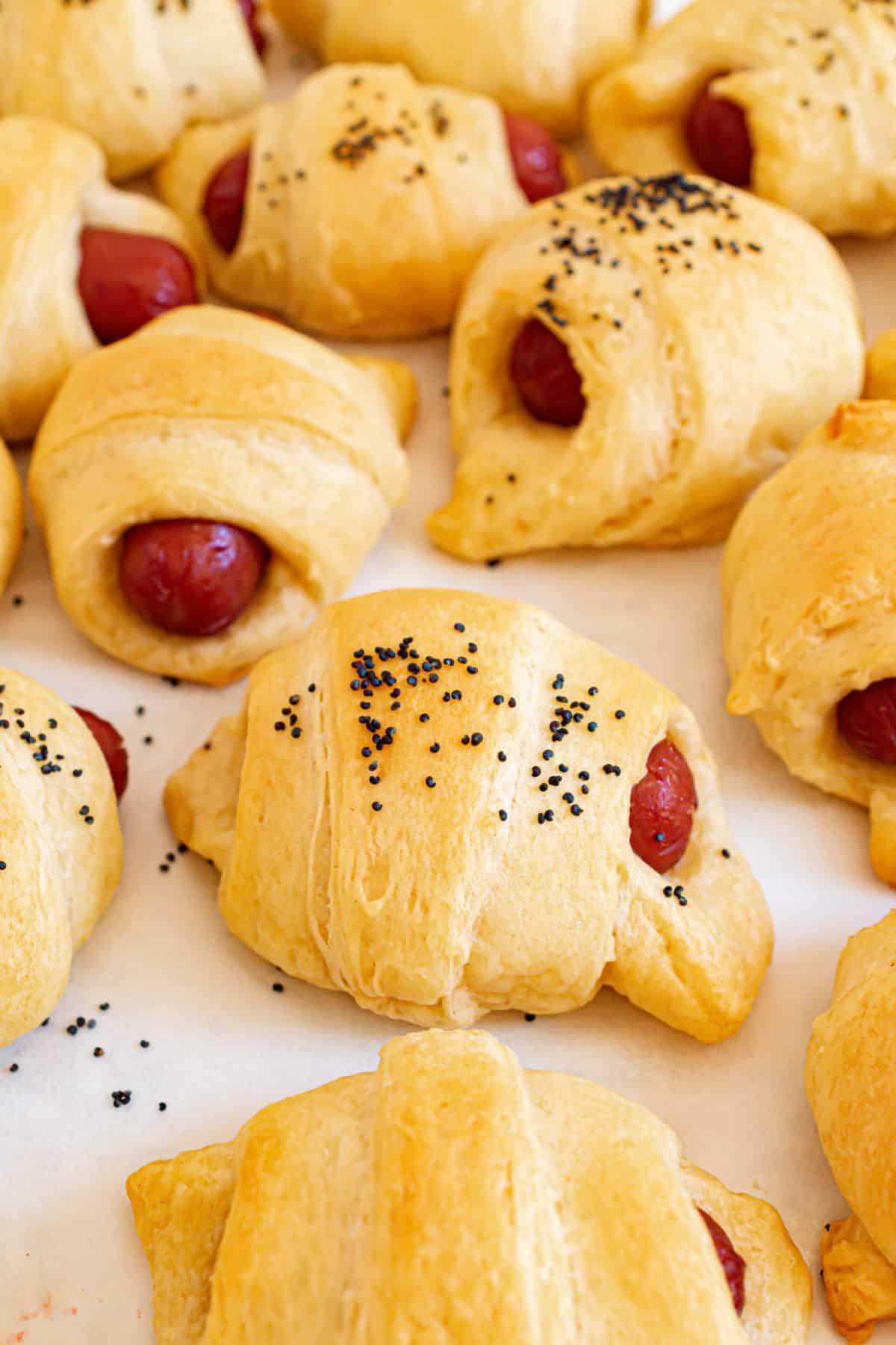 Crescent roll dogs baked and topped with poppy seeds.