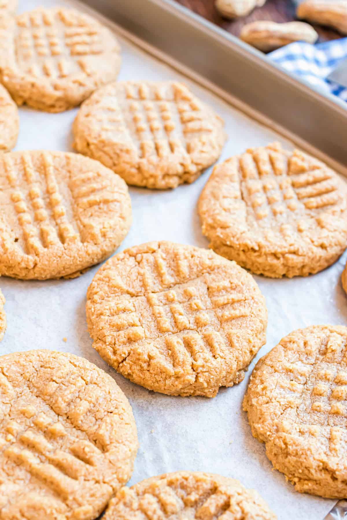 Peanut butter cookies on a parchment paper lined cookie sheet.