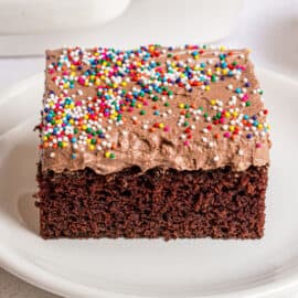 Slice of chocolate cake with chocolate frosting and sprinkles on a white plate.