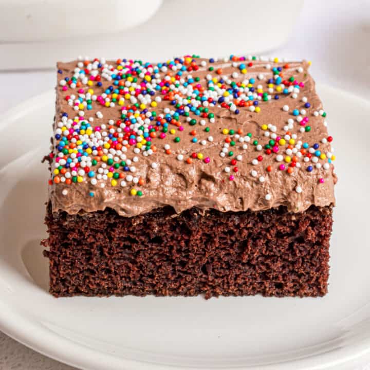 Slice of chocolate cake with chocolate frosting and sprinkles on a white plate.