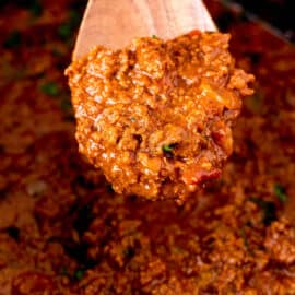 Slow cooker taco meat on a wooden spoon.