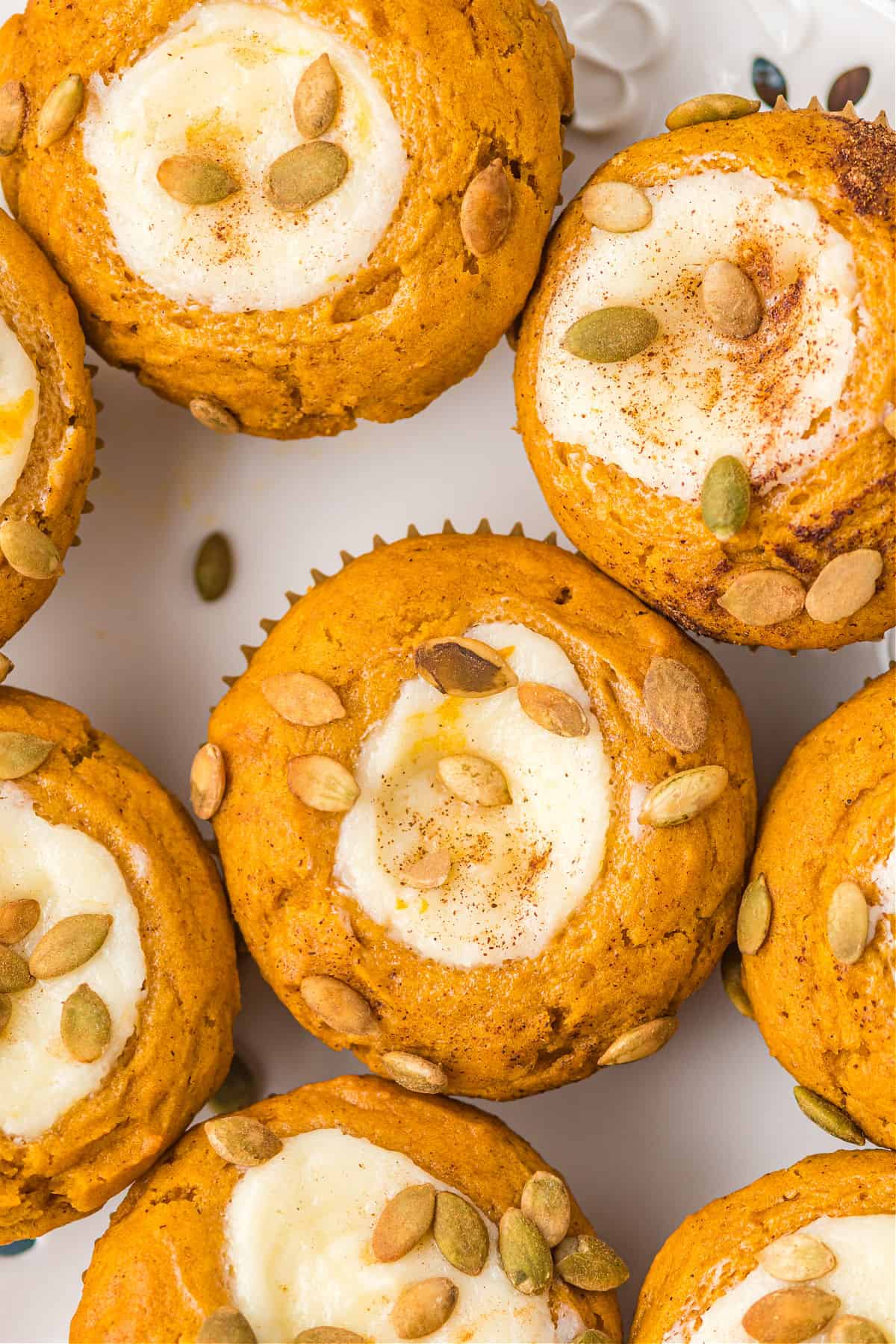 Pumpkin Cream Cheese Muffins are a copycat Starbucks treat. Packed with flavor, these muffins have a sweet cream cheese filling and spiced pumpkin seeds sprinkled on top. Easy to make and freezer friendly!