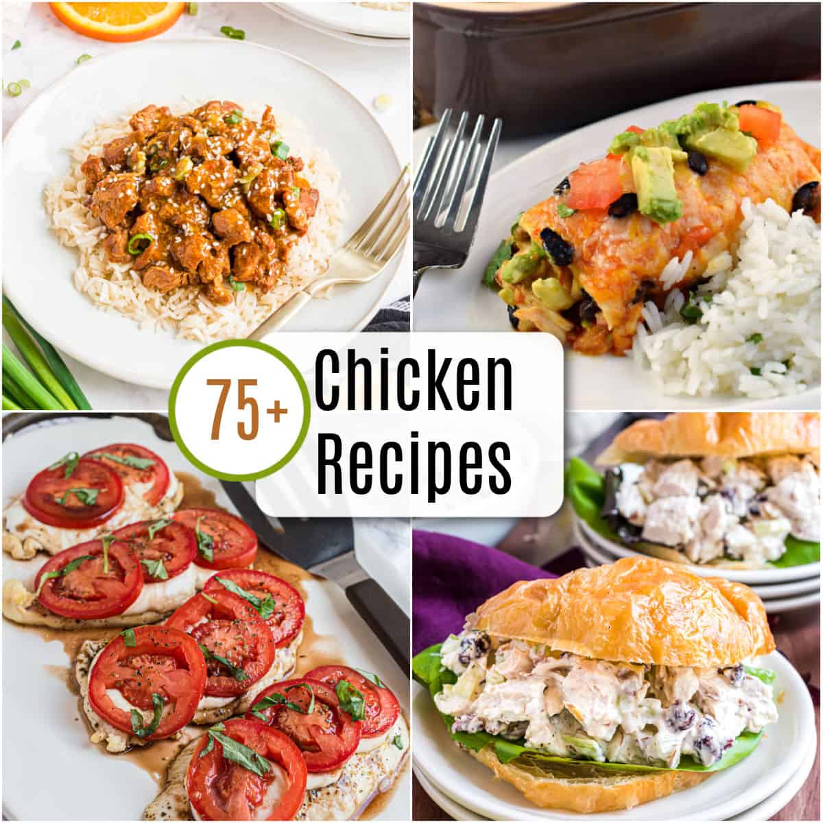 Collage photo of chicken recipes.