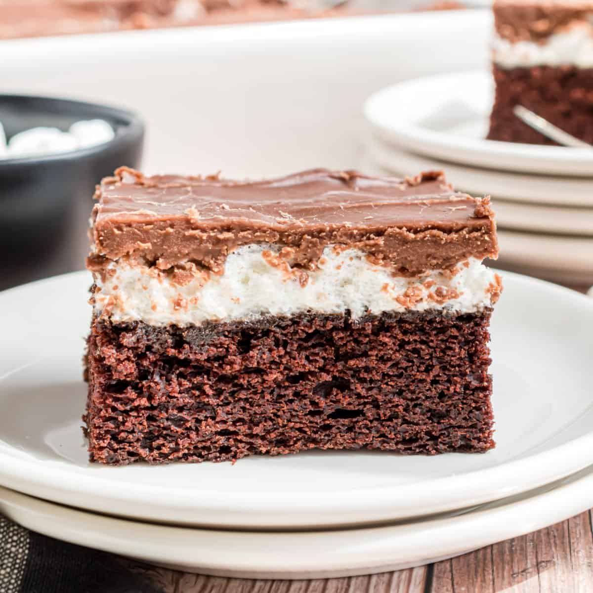 Mississippi Mud Cake Recipe - Shugary Sweets