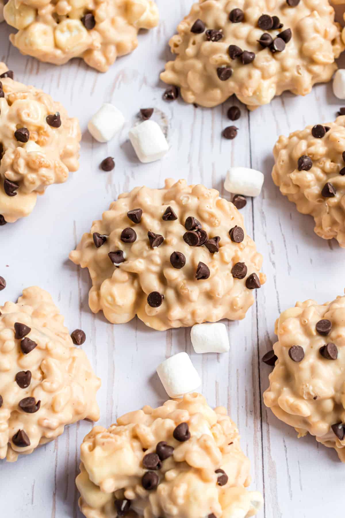 Rice Krispie cookies with mini chocolate chips on top.