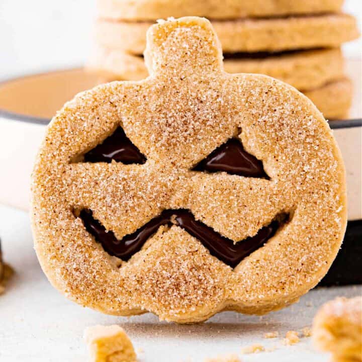 I biscotti di Halloween Jack-O'-Lantern ti faranno sicuramente sorridere!  Biscotti gommosi ricoperti di cioccolato al latte e ricoperti di zucchero alla cannella, sono le prelibatezze perfette per la stagione spettrale