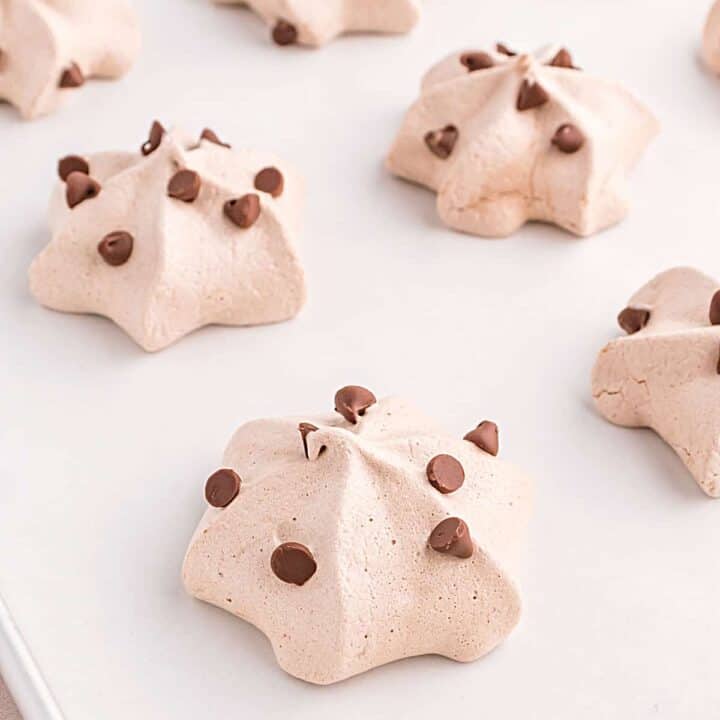 Chocolate Meringue Cookies are easy-to-make, melt-in-your-mouth treats with BIG chocolate flavor! Just a few ingredients are needed to make these fun, delicious cookies!