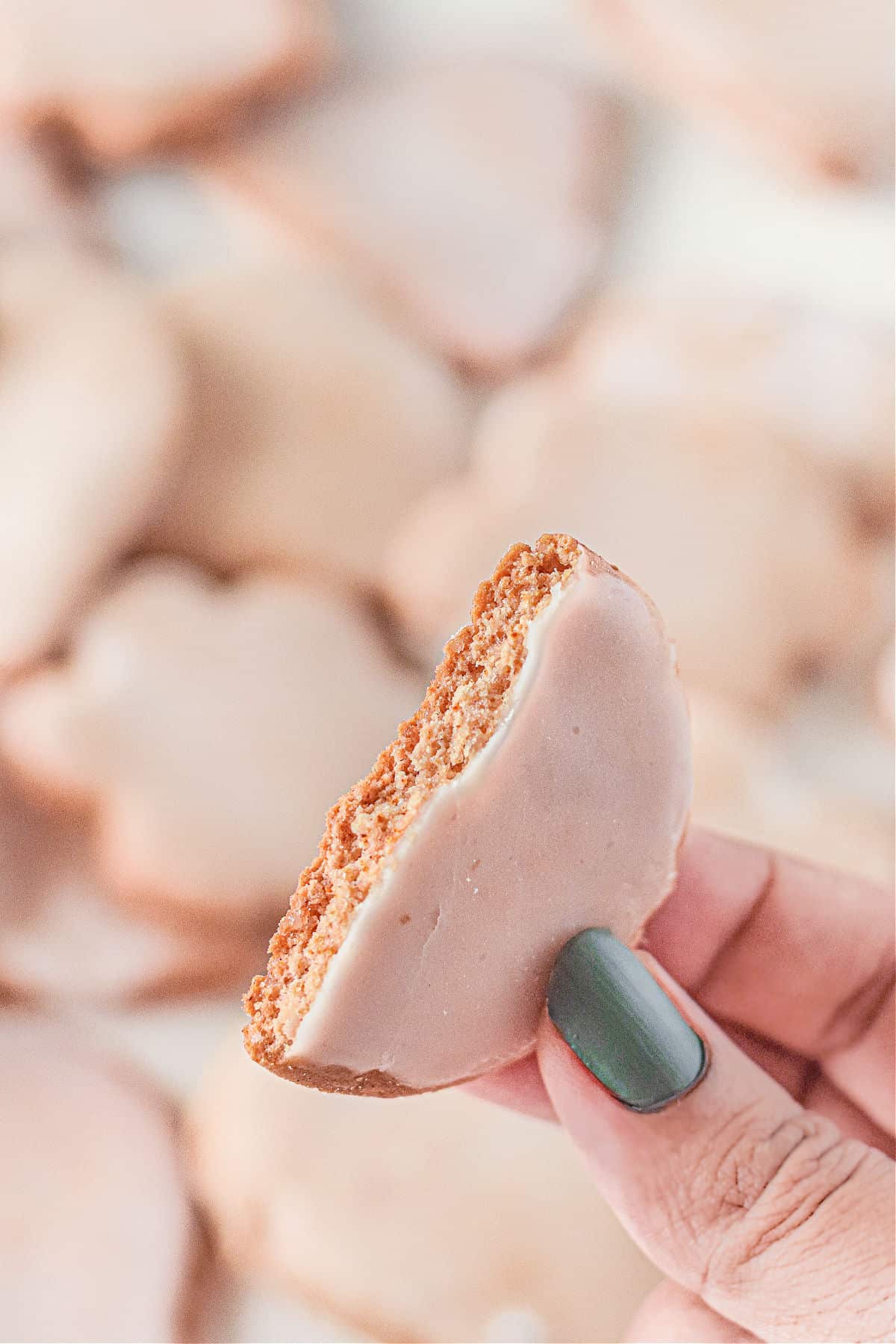 German gingerbread cookie bitten in half.