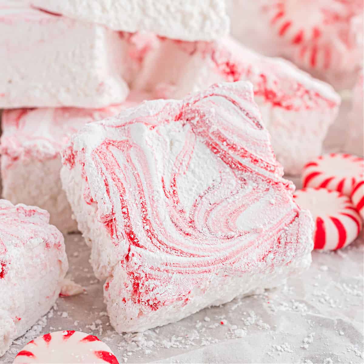 Peppermint hot chocolate with marshmallow and candy cane sweets in