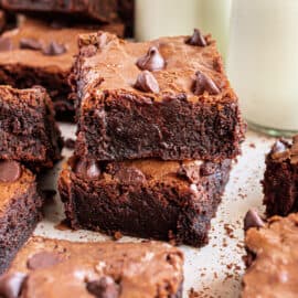 Rich, chewy Chocolate Chip Brownies made with melted chocolate and cocoa powder. Top them with extra chocolate chips just before baking, and they’re sure to satisfy the most intense cocoa craving!