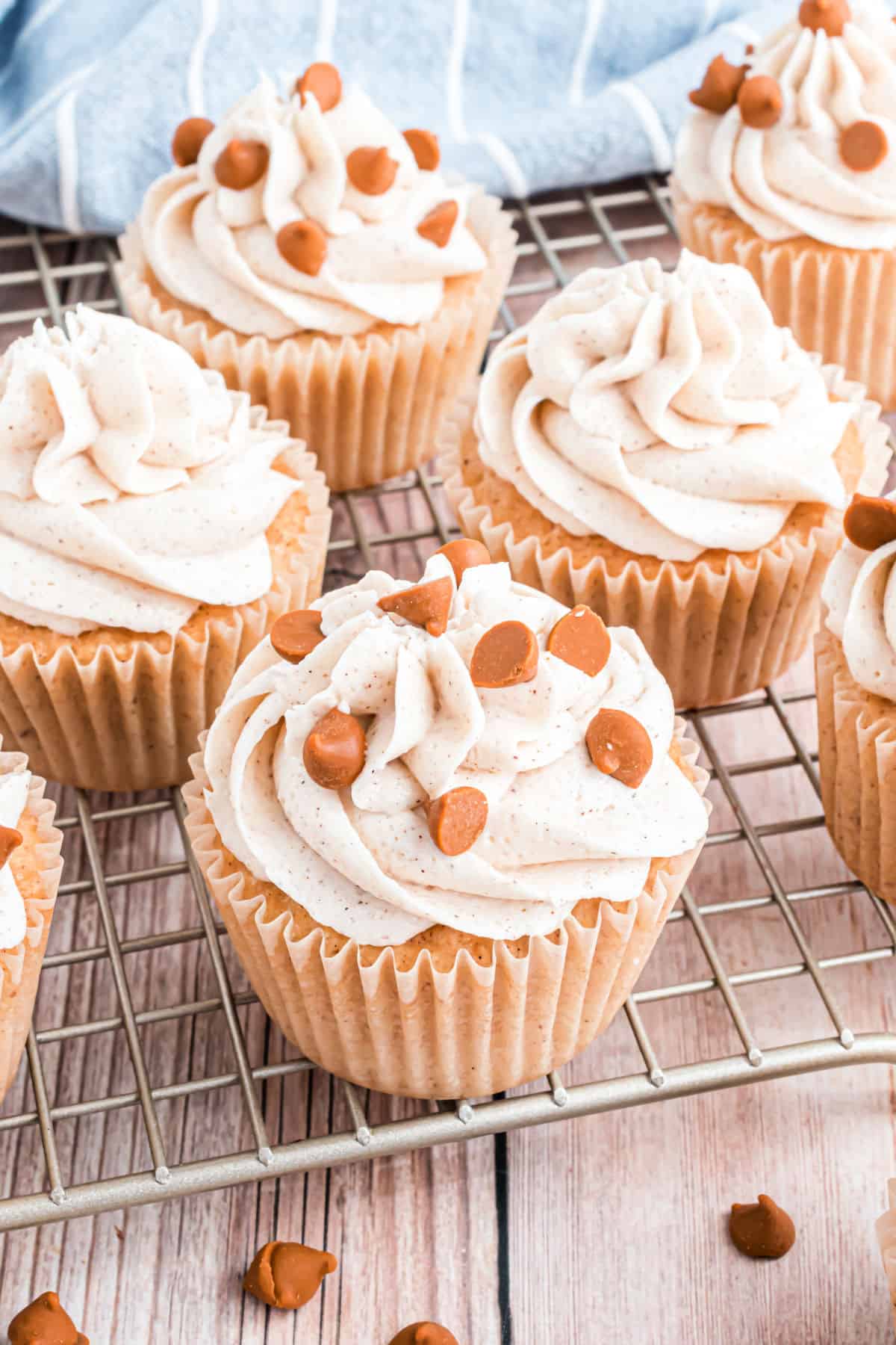 Cinnamon spice cupcake topped with frosting and cinnamon chips.