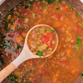 Comforting Lentil Soup is made quick and convenient with the use of an Instant Pot. With only 10 ingredients, you’ll have a delicious, stick-to-your-ribs soup in no time!