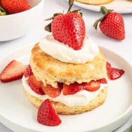 A classic dessert, Strawberry Shortcake combines buttermilk biscuits with sliced, juicy strawberries and fresh whipped cream for a delicious combination that will have everyone raving!
