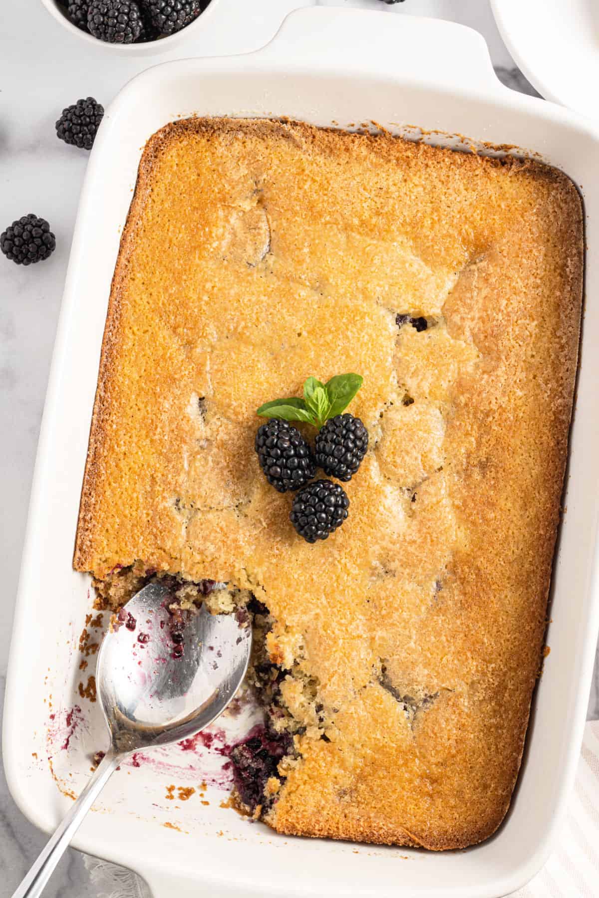 Blackberry cobbler in a 13x9 baking dish.