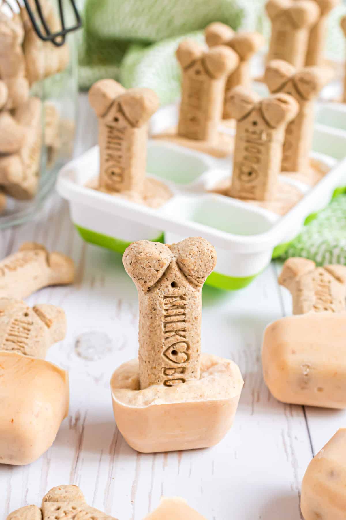 9 Yummy Pupsicle Recipes to Cool Your Dog Off – The Dog Bakery