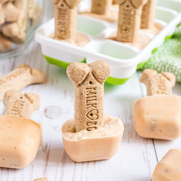 Dog Ice Cream is the perfect sweet treat for your pup on a hot day or for a special celebration. Just 5 ingredients needed for these dog-friendly frozen treats.