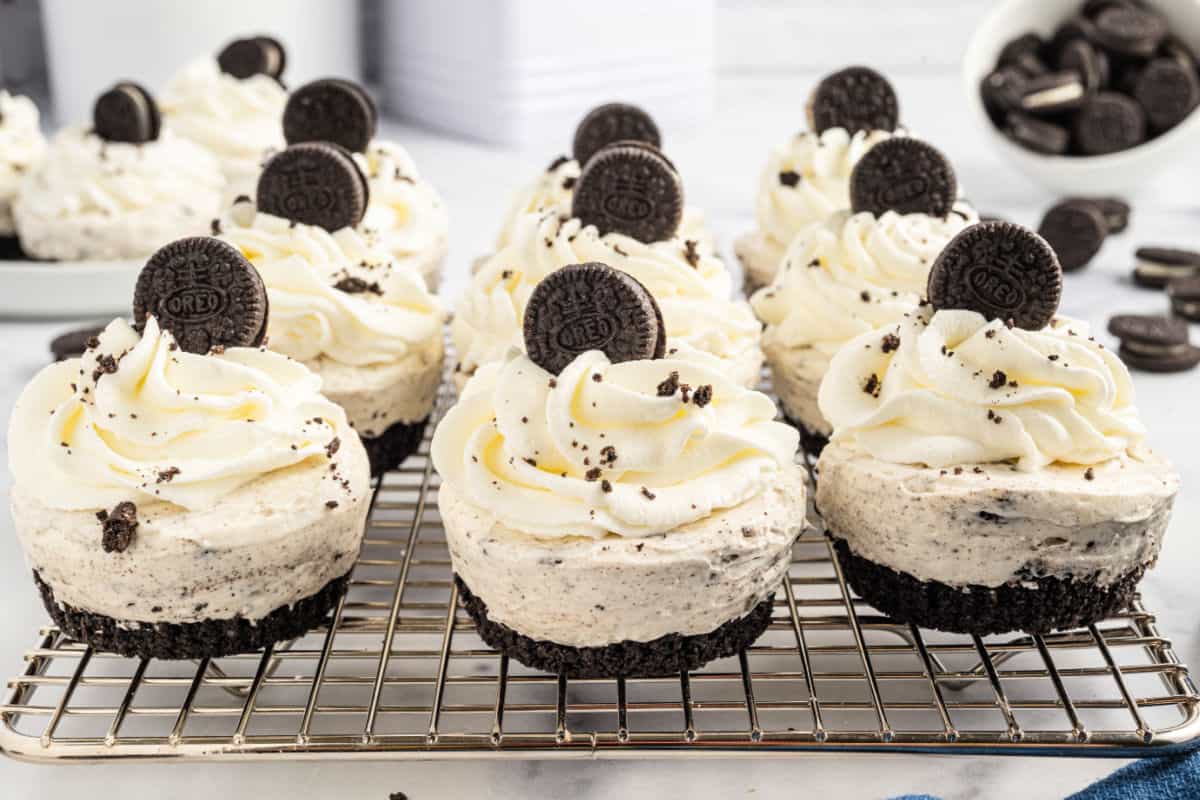 Oreo cheesecakes on a wire cooling rack.