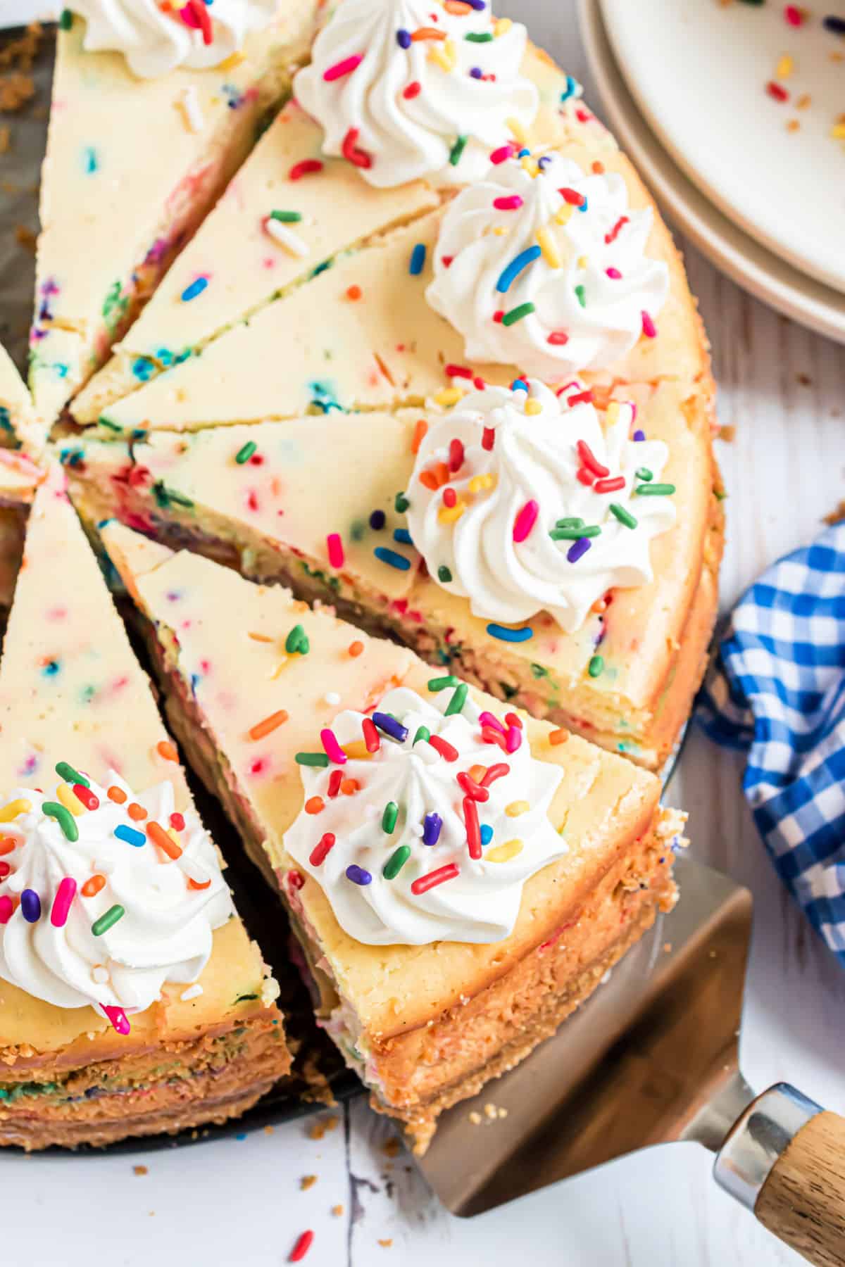 Funfetti cheesecake cut into slices and topped with whipped cream.