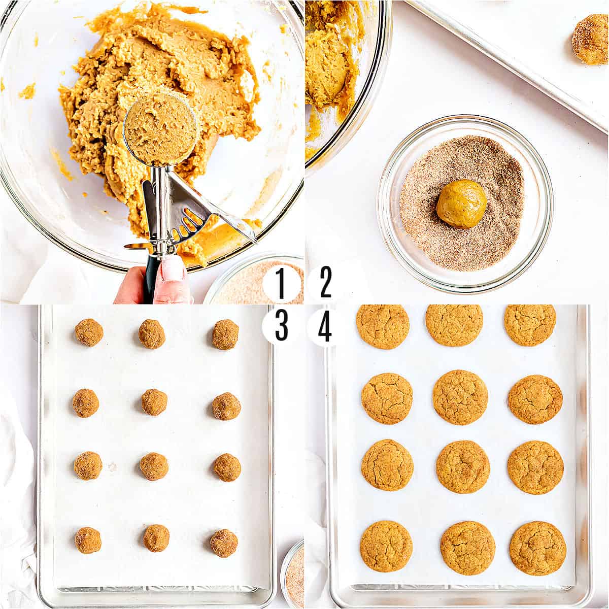 Step by step photos showing how to make pumpkin snickerdoodles.
