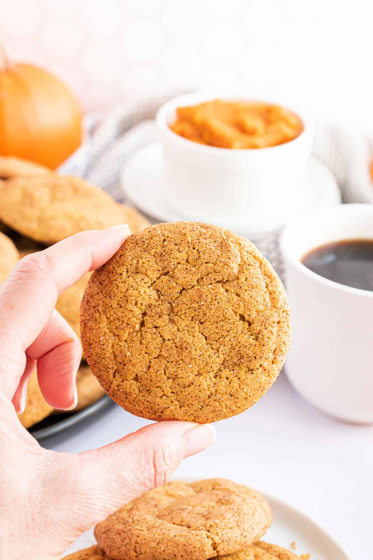 Pumpkin snickerdoodle being held.