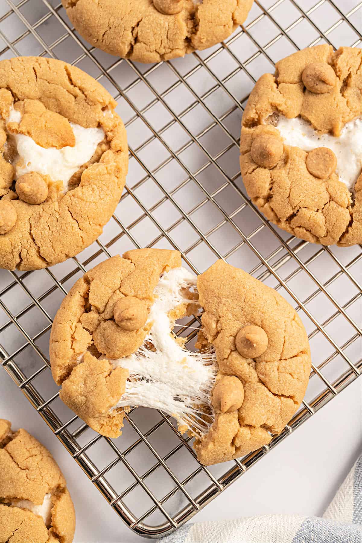 Gooey marshmallow in a peanut butter cookie on a wire rack.