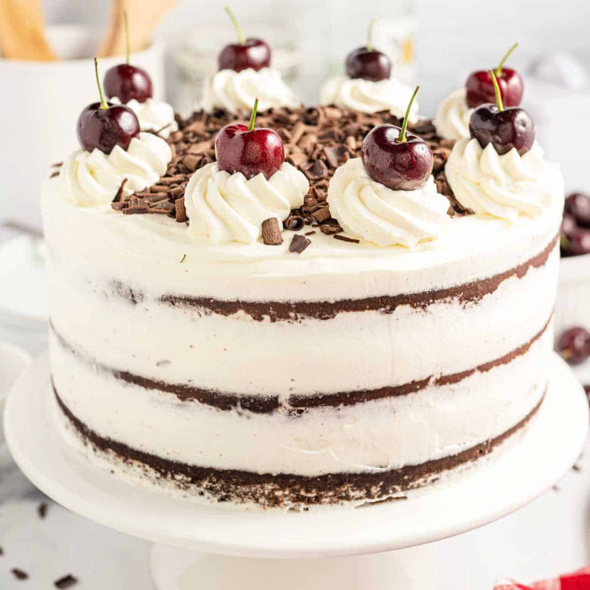 This Black Forest Cake recipe combines rich chocolate cake, fluffy whipped cream, and cherries for a show-stopping dessert. Top it with chocolate shavings and fresh whipped cream for an unforgettable cake. 