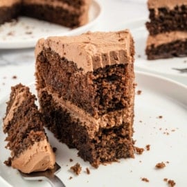 This Chocolate Mayonnaise Cake combines an unexpected twist of flavors with rich cocoa, tangy mayo, and a hint of coffee. The result is incredibly moist and flavorful. I guarantee it will please a crowd and satisfy your craving.