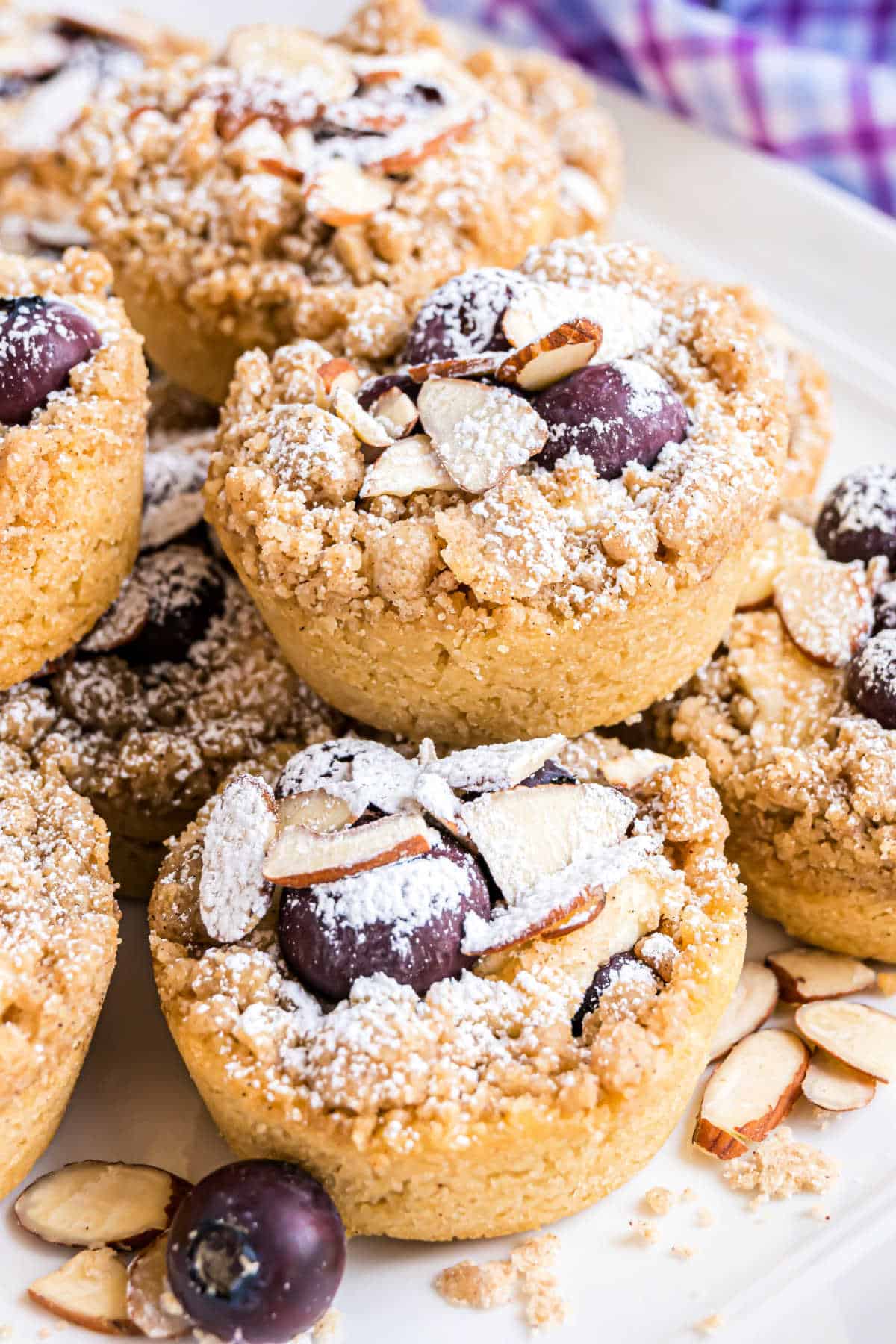 Close-up of crumbly almond muffins topped with blueberries, sliced almonds, and powdered sugar—perfect for fans of blueberry coffee cake cookies.