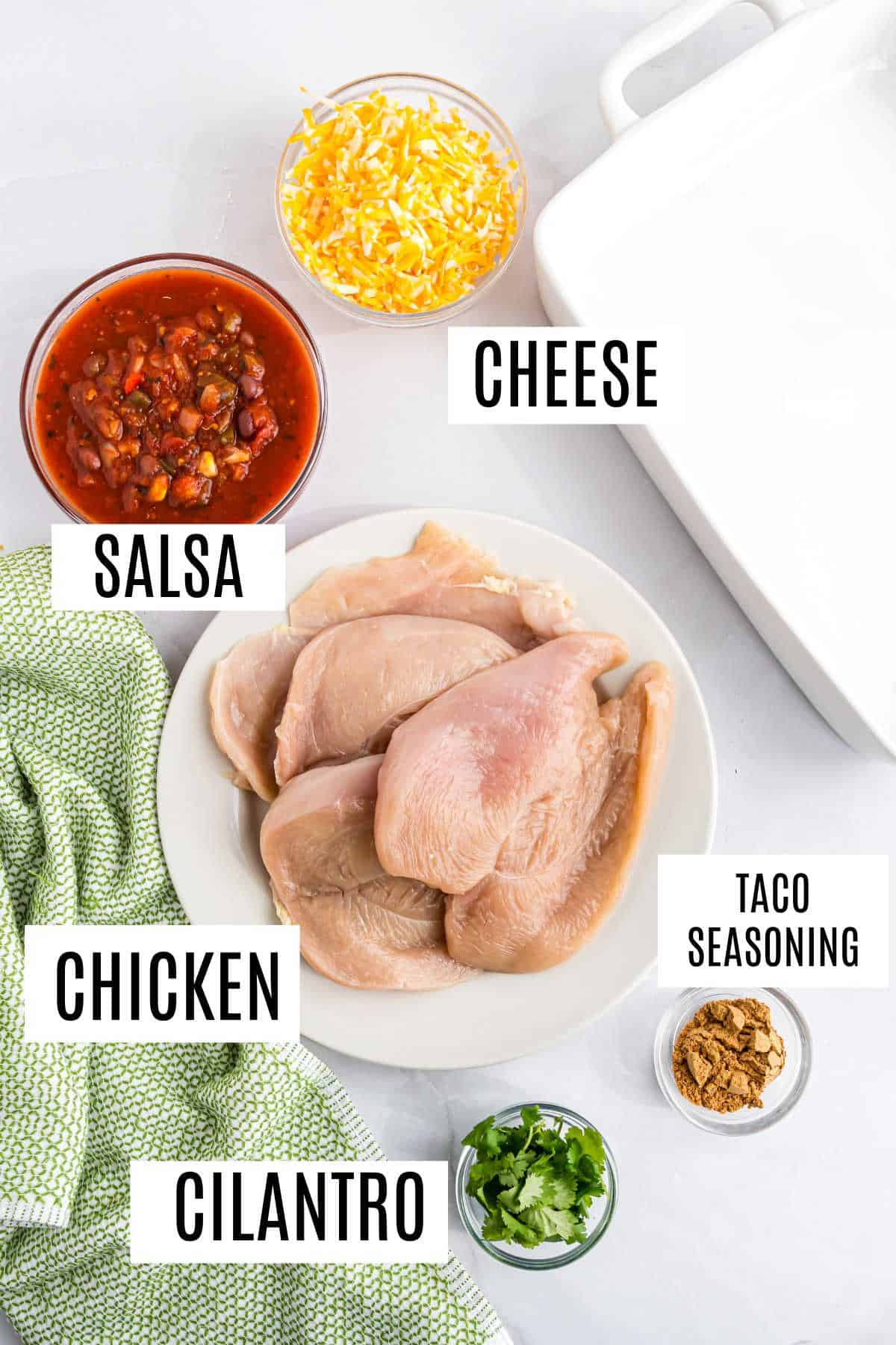 Labeled ingredients for baked salsa chicken: cheese, salsa, raw chicken breasts, taco seasoning, and chopped cilantro.