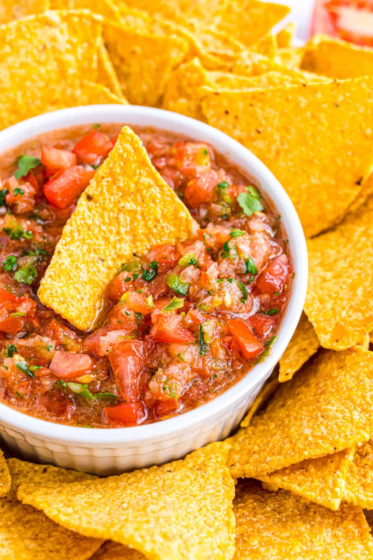 A bowl of chunky salsa surrounded by tortilla chips, with one chip dipped in the salsa.