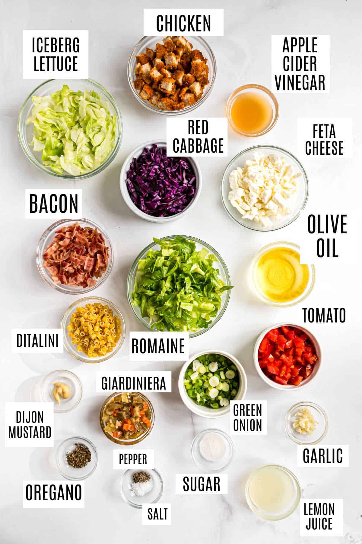 Overhead view of labeled salad ingredients in bowls, including lettuce, chicken, cheese, veggies, and seasonings.