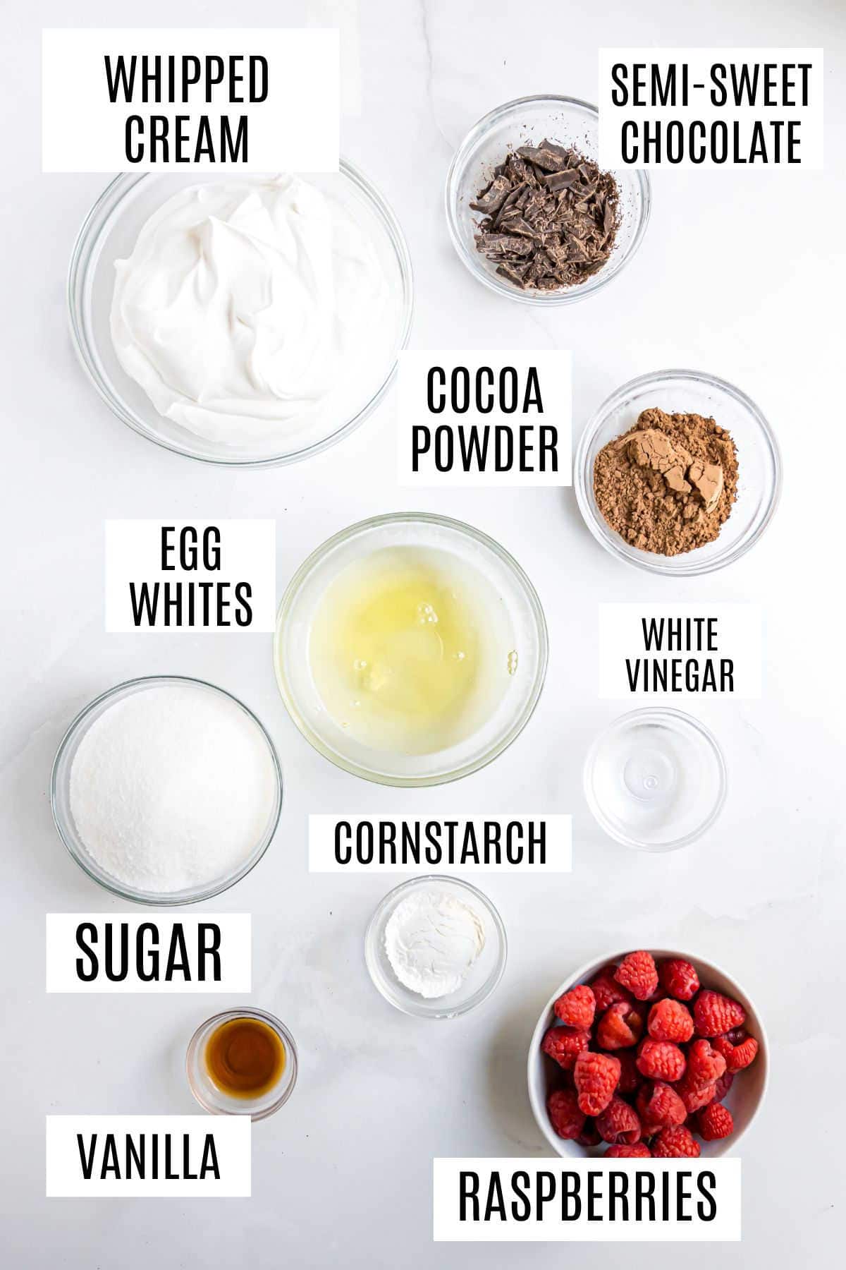 Bowls of whipped cream, semi-sweet chocolate, cocoa powder, egg whites, white vinegar, sugar, cornstarch, vanilla, and raspberries.