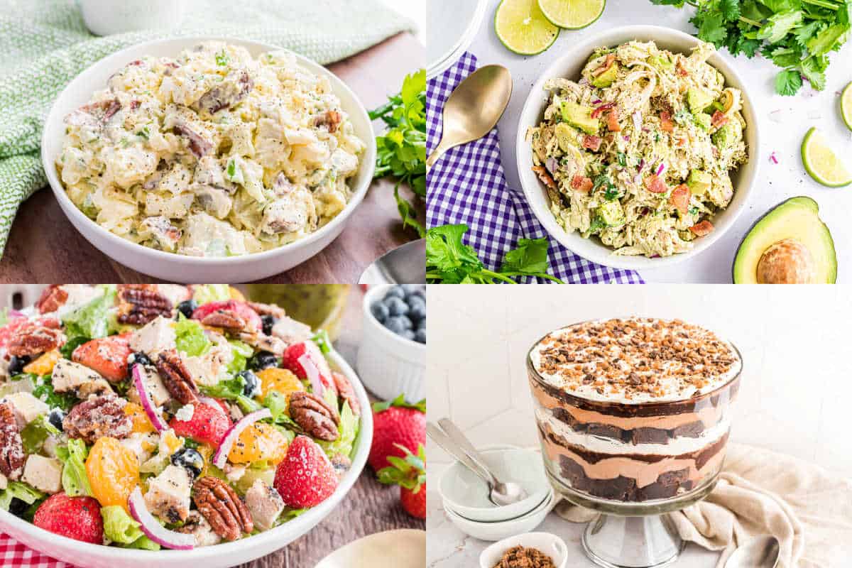 Four dishes: potato salad, chicken salad, fruit salad with pecans, and a layered chocolate trifle dessert.