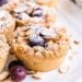 Close-up of crumbly blueberry almond muffins dusted with powdered sugar on a white plate, reminiscent of blueberry coffee cake cookies.