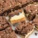Indulgent chocolate cheesecake bars feature a crumbly chocolate topping over a creamy cheesecake layer, sliced into decadent squares.